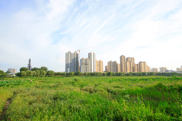 istock city building scenery, China 1166947442