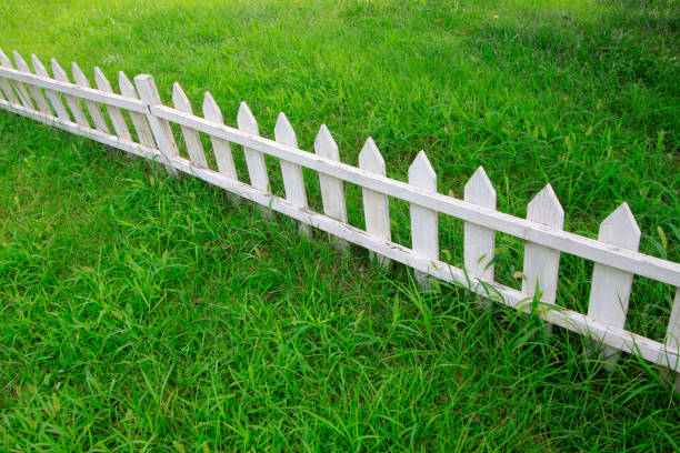 istock White wooden fence in a park 1166947856