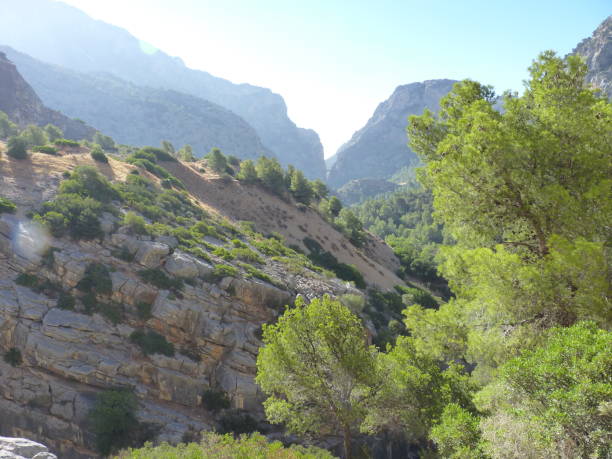 istock Royal Trail (El Caminito del Rey) in gorge Chorro, Malaga province 1166948696