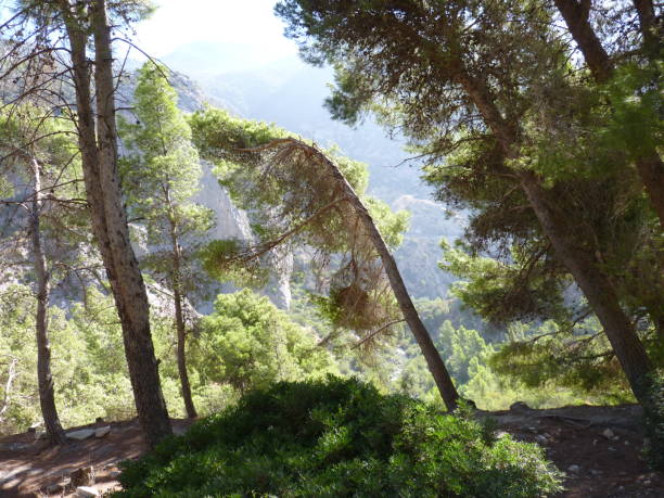istock Royal Trail (El Caminito del Rey) in gorge Chorro, Malaga province 1166948803