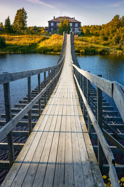 istock Old tree in the water.The old bridge over the river. 1166949810