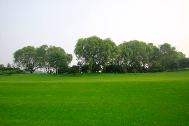 istock golf course, closeup of photo 1166951299