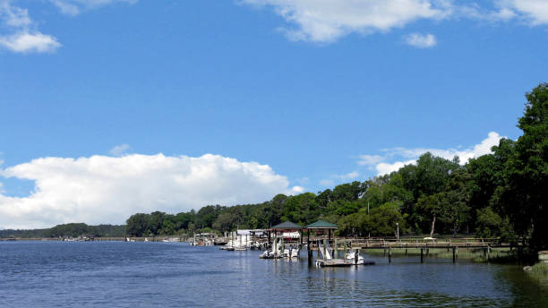 istock Savannah South Carolina coastline 1166951411