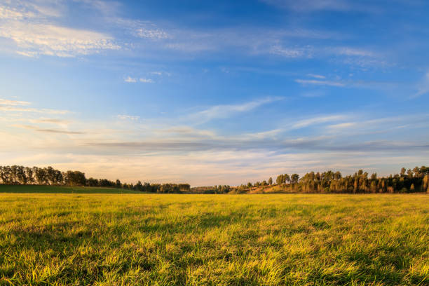 istock Rural field in Autumn season. 1166952865