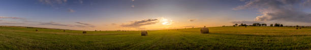 istock A field with haystacks on a sunset on a summer evening. 1166953175