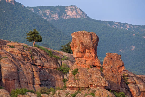 istock Sugar Head Rock Mountains Forest Belogradchik Bulgaria 1166954124