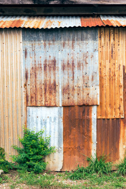 istock Rusty corrugated iron metal sheet wall with green grass. Vertical view background. 1166954220