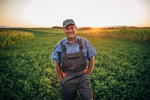 One senior farmer with coveralls and cap standing in field, looking at camera and smiling.