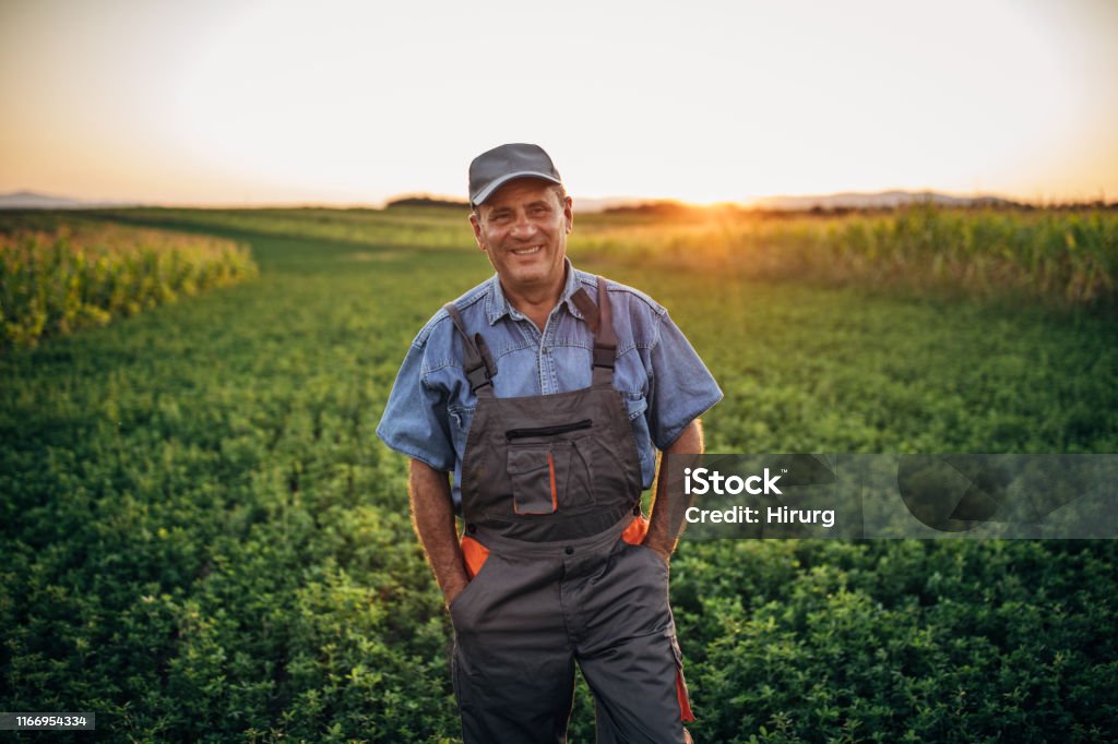 Portrait of happy senior farmer One senior farmer with coveralls and cap standing in field, looking at camera and smiling. Farmer Stock Photo