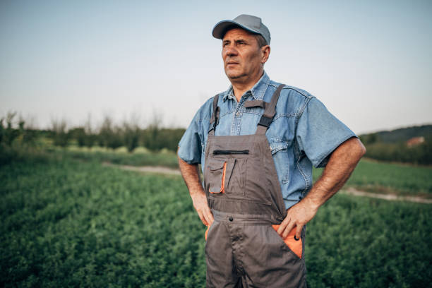 istock Senior farmer standing at field 1166954646