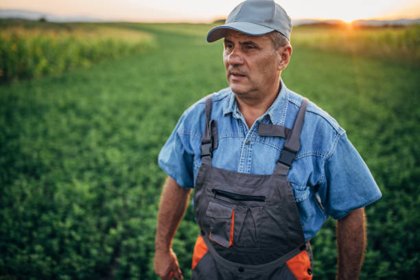 istock Senior farmer walking in field 1166954695