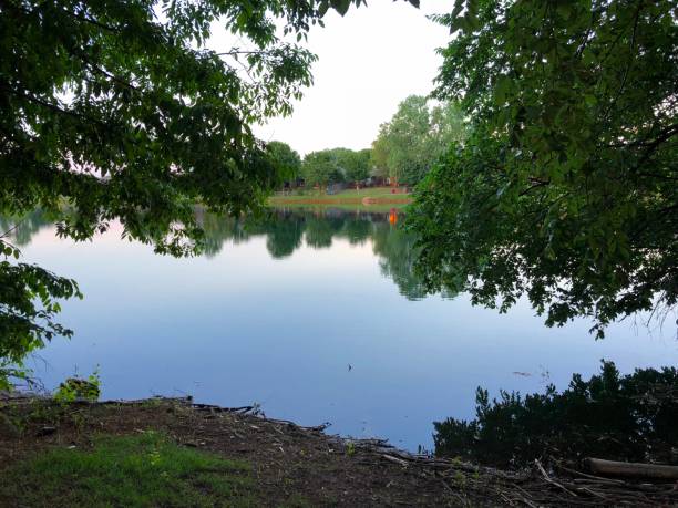 istock View of the lake framed by trees 1166955587