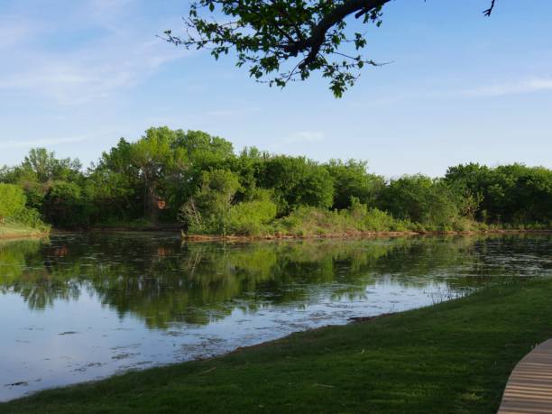 istock Relaxing view by the lake at springtime, with the trees reflected in the waters 1166955655