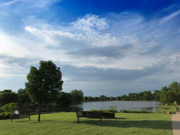 Wide shot of a lakeside view with a park