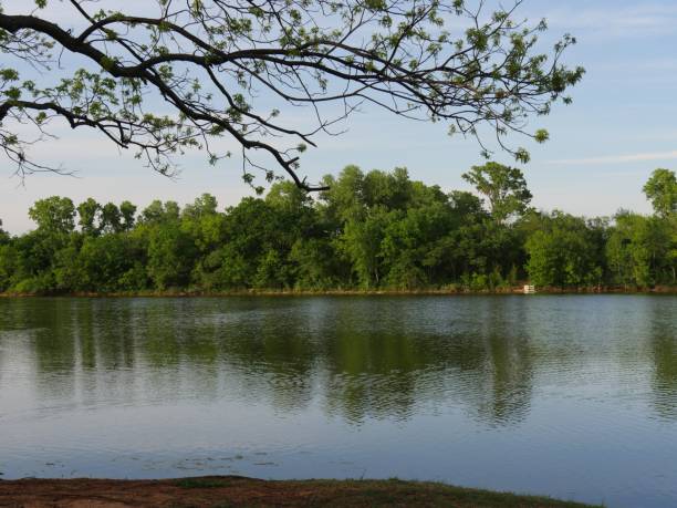 istock Fresh relaxing view by the lake at springtime 1166955810