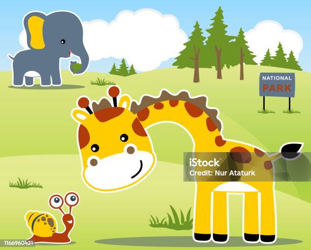 Funny Animals Cartoon In The Zoo Stock Illustration - Download Image Now -  Africa, Animal, Blue - iStock