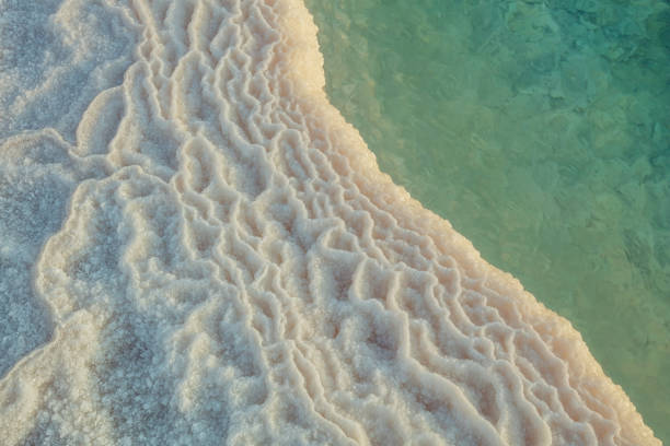 sale sulla costa del mar morto - marine salt foto e immagini stock