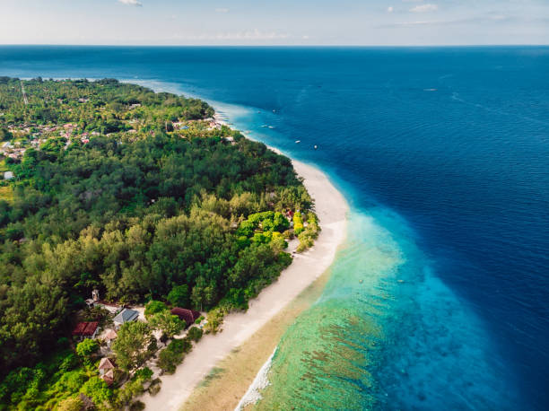 istock Tropical island with paradise beach and turquoise ocean. Aerial view. 1166965621