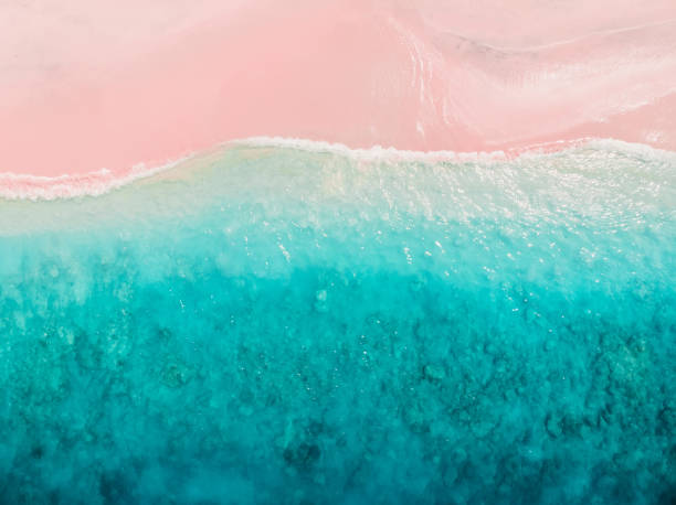 istock Tropical pink beach with blue ocean. Komodo islands 1166965764
