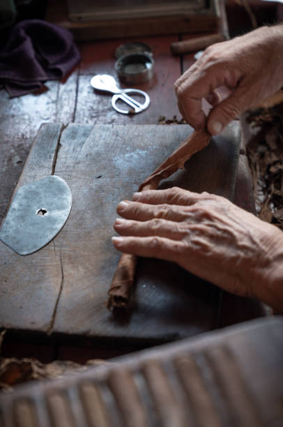 istock Cigar rolling or making by supporter in Cuba, Pinar del Rio province 1166974577