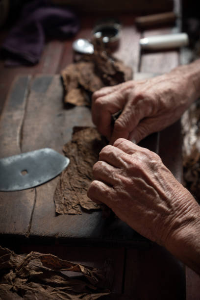 istock Cigar rolling or making by supporter in Cuba, Pinar del Rio province 1166974634