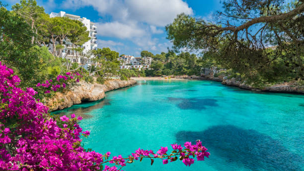 cala dor körfezi - palma majorca stok fotoğraflar ve resimler