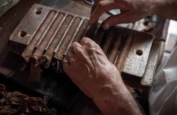 istock Cigar rolling or making by supporter in Cuba, Pinar del Rio province 1166974678