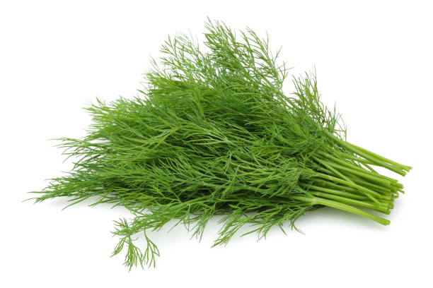 istock Bunch of fresh green dill isolated on white 1166975222