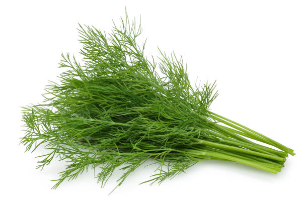 istock Bunch of fresh green dill isolated on white 1166975235