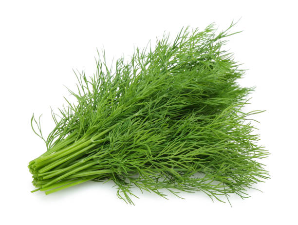istock Bunch of fresh green dill isolated on white 1166975403