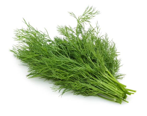 istock Bunch of fresh green dill isolated on white 1166975406