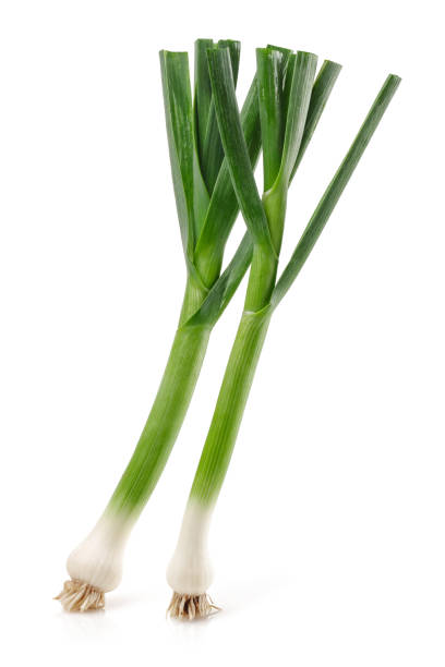 istock Fresh green garlic isolated on white 1166976430