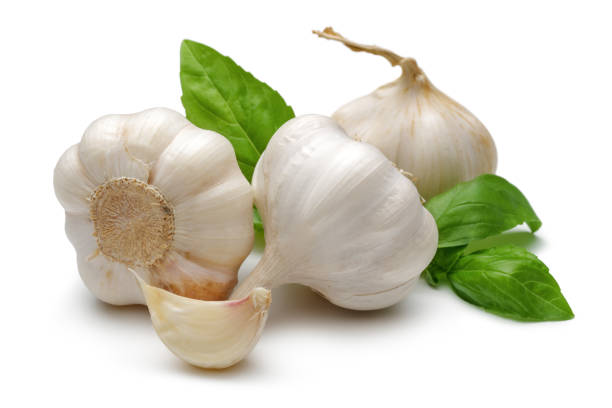 istock Garlic bulbs and garlic clove with basil leaves 1166976657