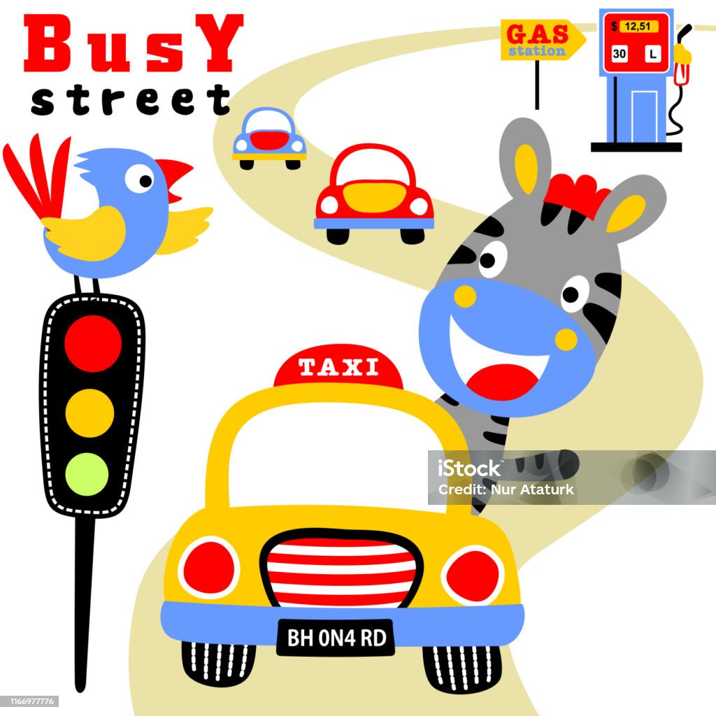 Dễ Thương Ngựa Vằn Lái Xe Gặp Chim Trong Đèn Giao Thông Thiết Kế ...