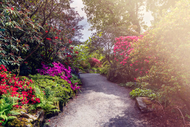 istock Beautiful Garden with blooming trees during spring time 1166977901