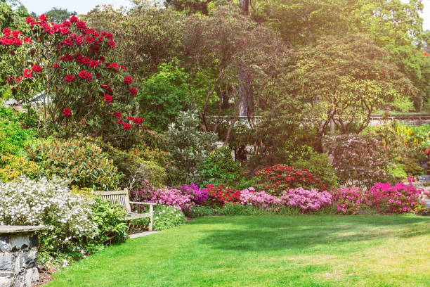 istock Beautiful Garden with blooming trees during spring time 1166977905