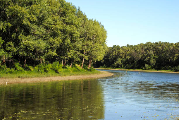 istock river bank on a summer day 1166978016