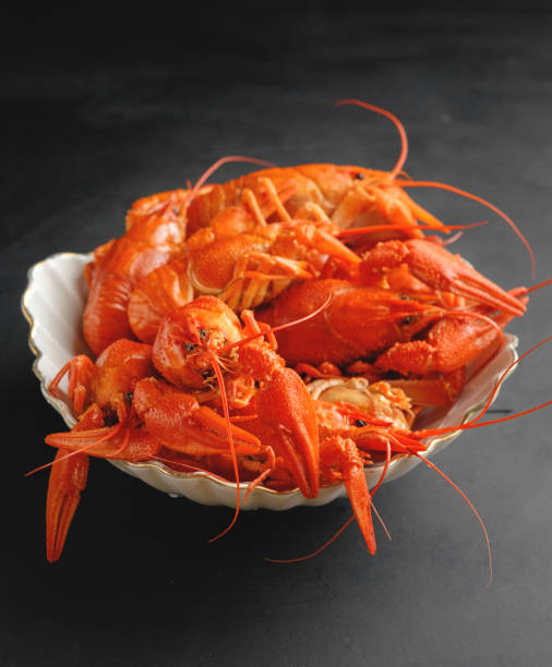 istock lobsters in a plate on black background 1166978017