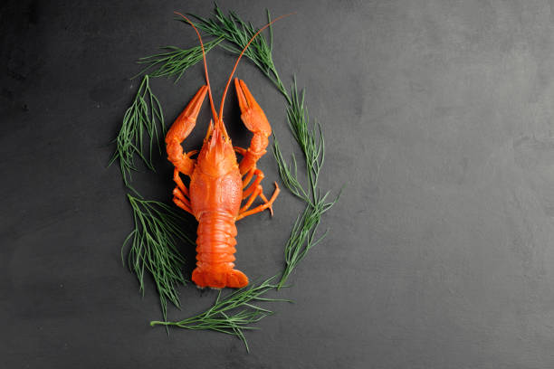istock lobster with green dill on black background top view 1166978900