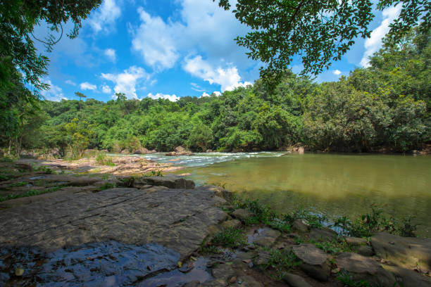 istock Downloading, Water, Autumn, Lake, Rainforest 1166978999