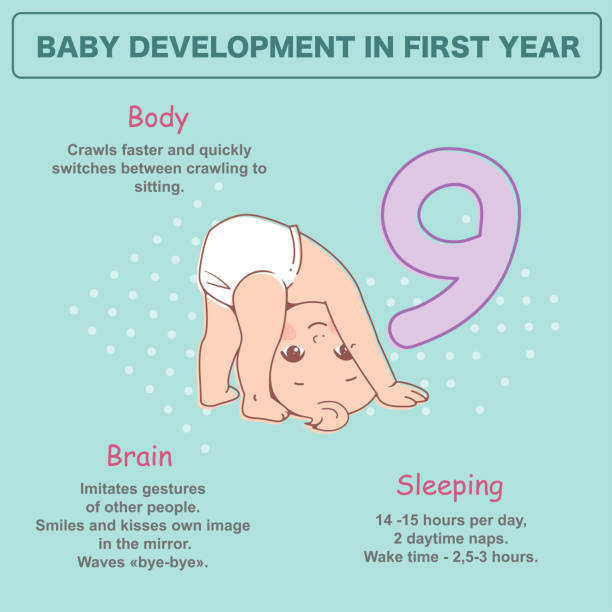 ilustrações de stock, clip art, desenhos animados e ícones de little newborn baby of 9 months. development infographics - 6 12 months baby baby girls 9 10 months