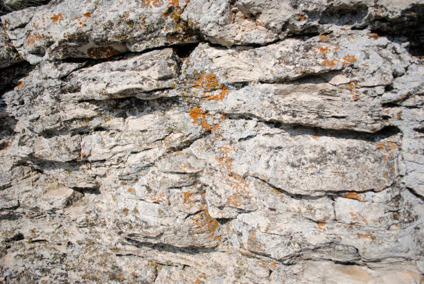 istock texture of the plane rocks gray limestone 1166984918
