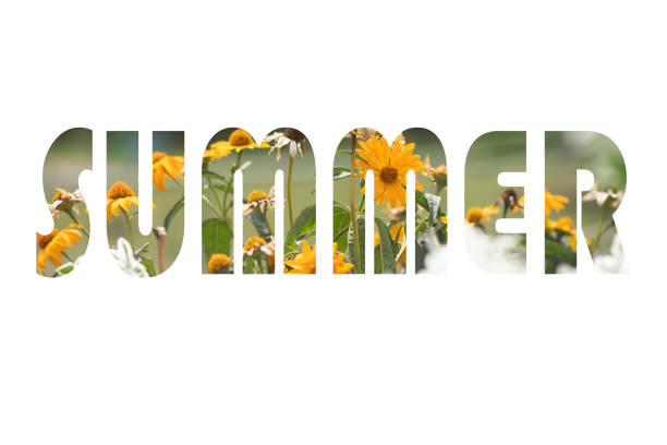 Word Summer with colorful nature images inside the letters art abstract