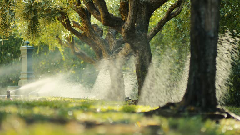 Static shot of a garden water sprinklers watering bright green grass in a sunny garden. shot in slow motion