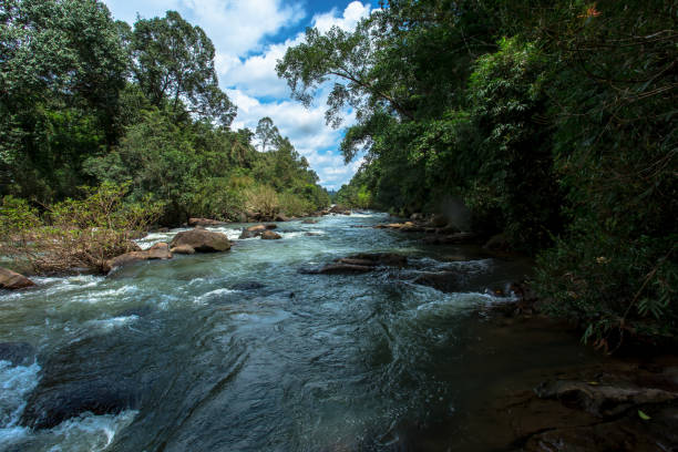 istock Downloading, Water, Autumn, Lake, Rainforest 1166986947