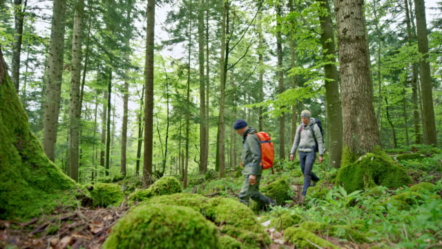 Man and woman walking in the forest carrying large backpacks