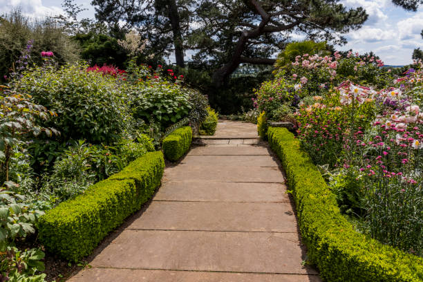 istock lush english cottage garden 1166987120