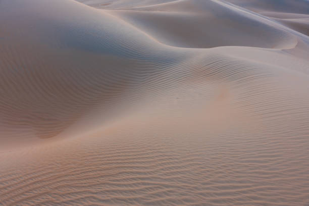 istock Textures of a desert's sand 1166987323