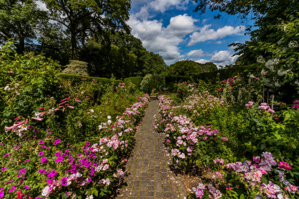 istock lush english cottage garden 1166988225