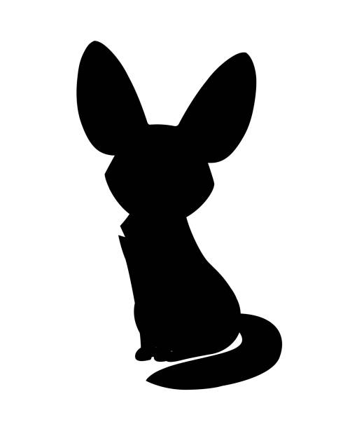 черный силуэт милый феннек лиса сидеть на полу плоский вектор иллюстрации мультфильм животных дизайн белый фон вид спереди - silhouette animal desert fox stock illustrations